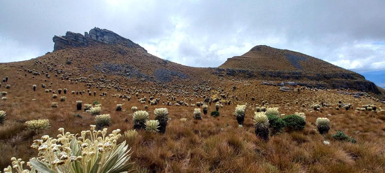 Hospedaje Y Camping Del Rio Monguí Buitenkant foto