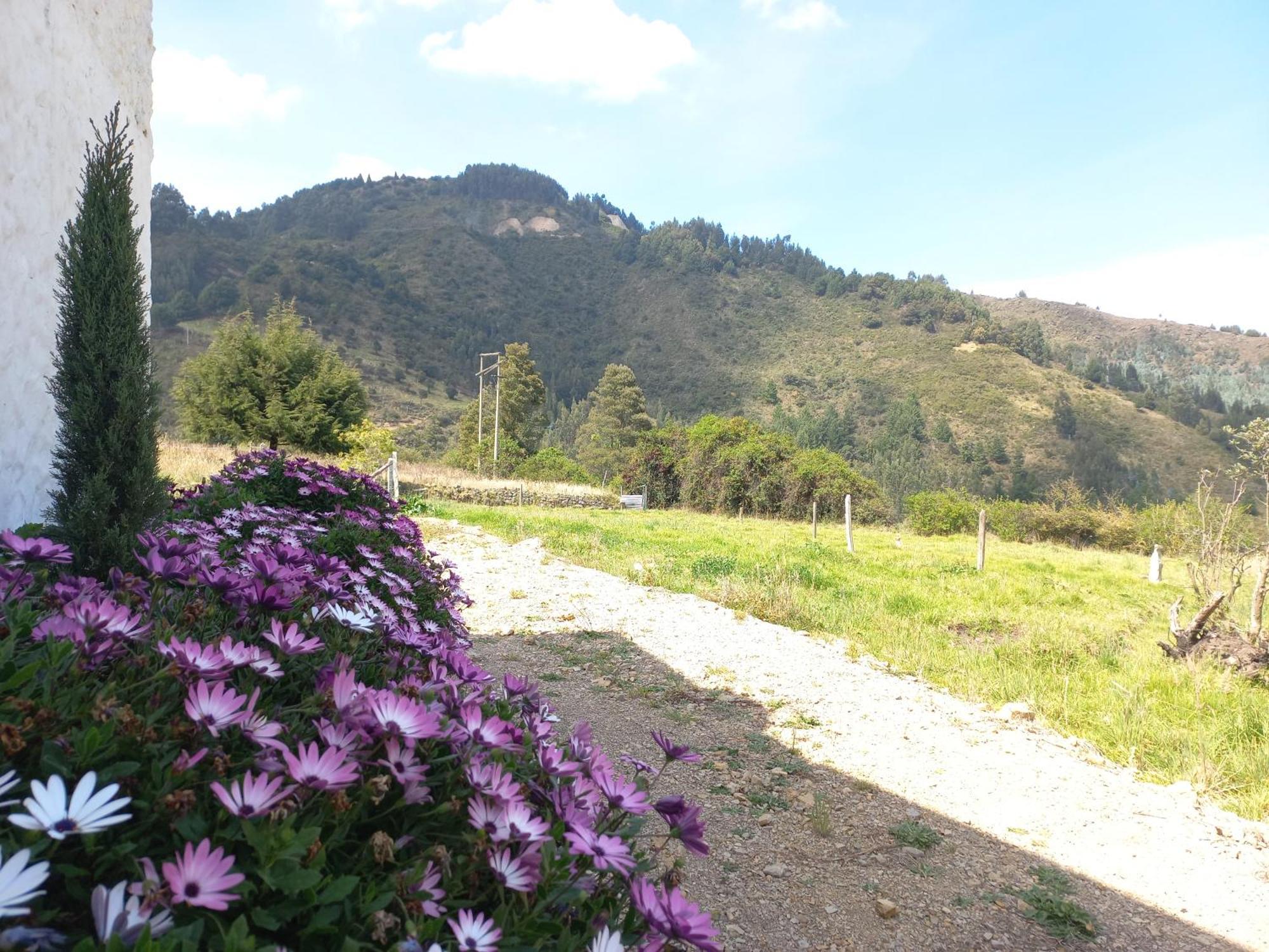 Hospedaje Y Camping Del Rio Monguí Buitenkant foto
