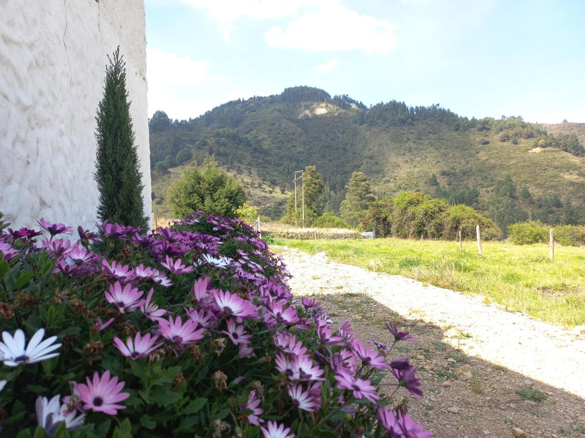 Hospedaje Y Camping Del Rio Monguí Buitenkant foto