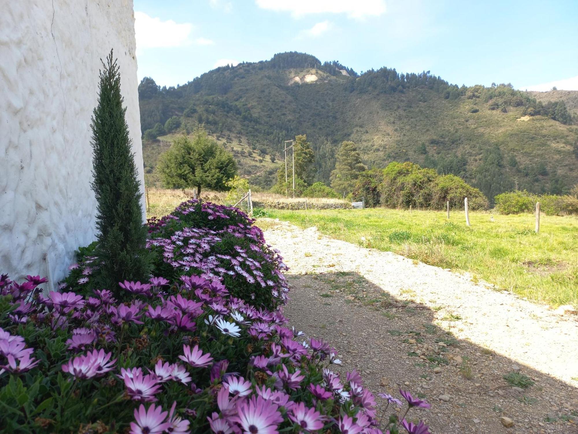 Hospedaje Y Camping Del Rio Monguí Buitenkant foto